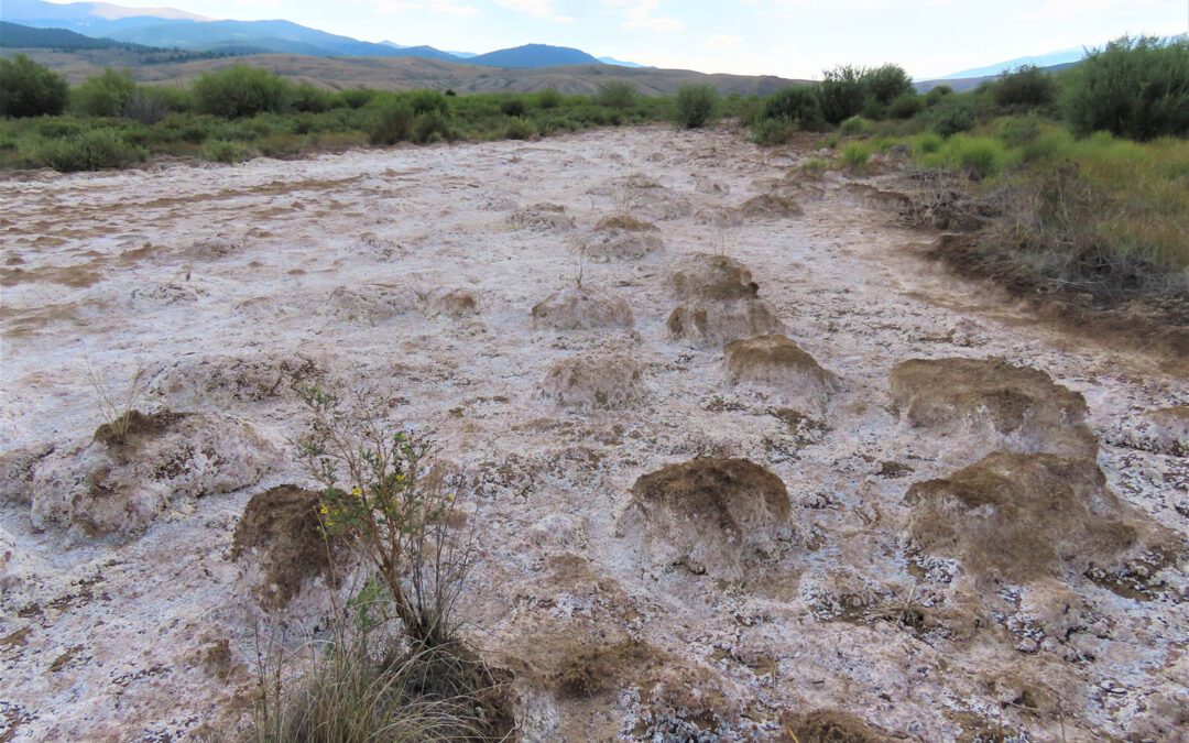 Fluvial Tailings Remediation Project