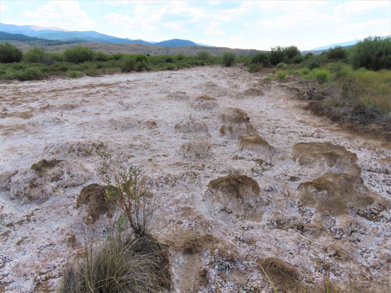 Fluvial Tailings Remediation Project