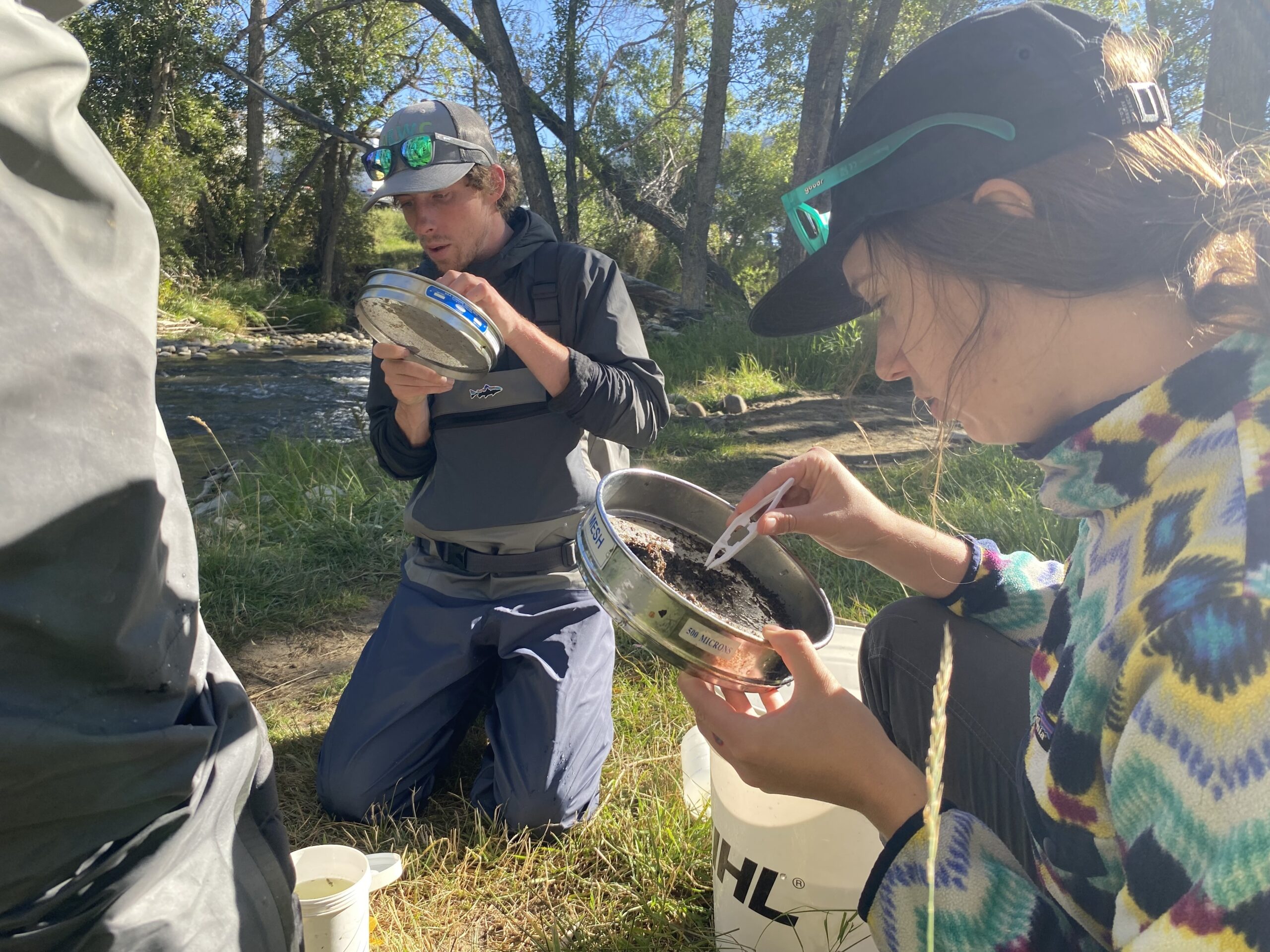 Volunteers counting macro invertebrates for the River Watch Program