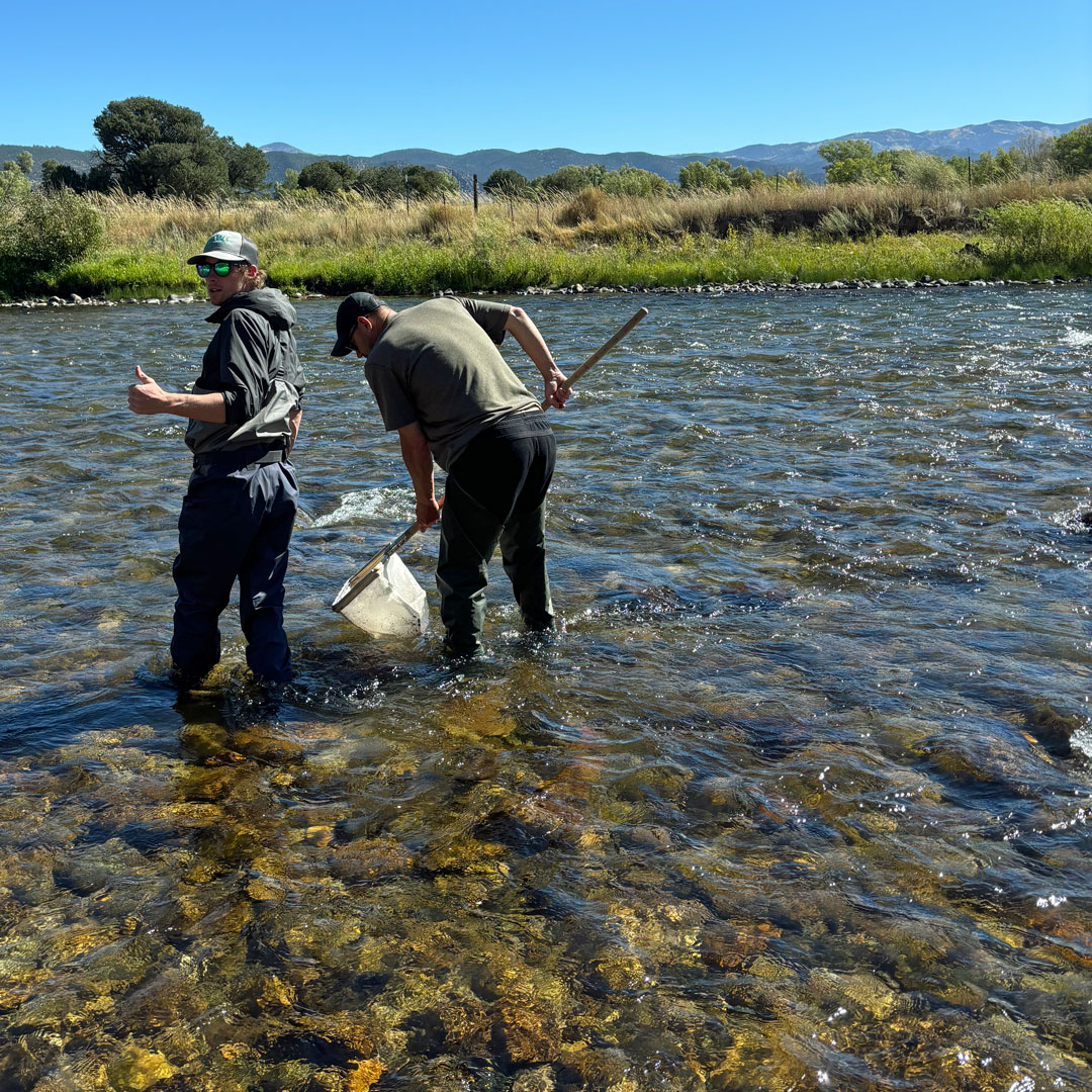 ARWC staff collecting samples for the River Watch Program