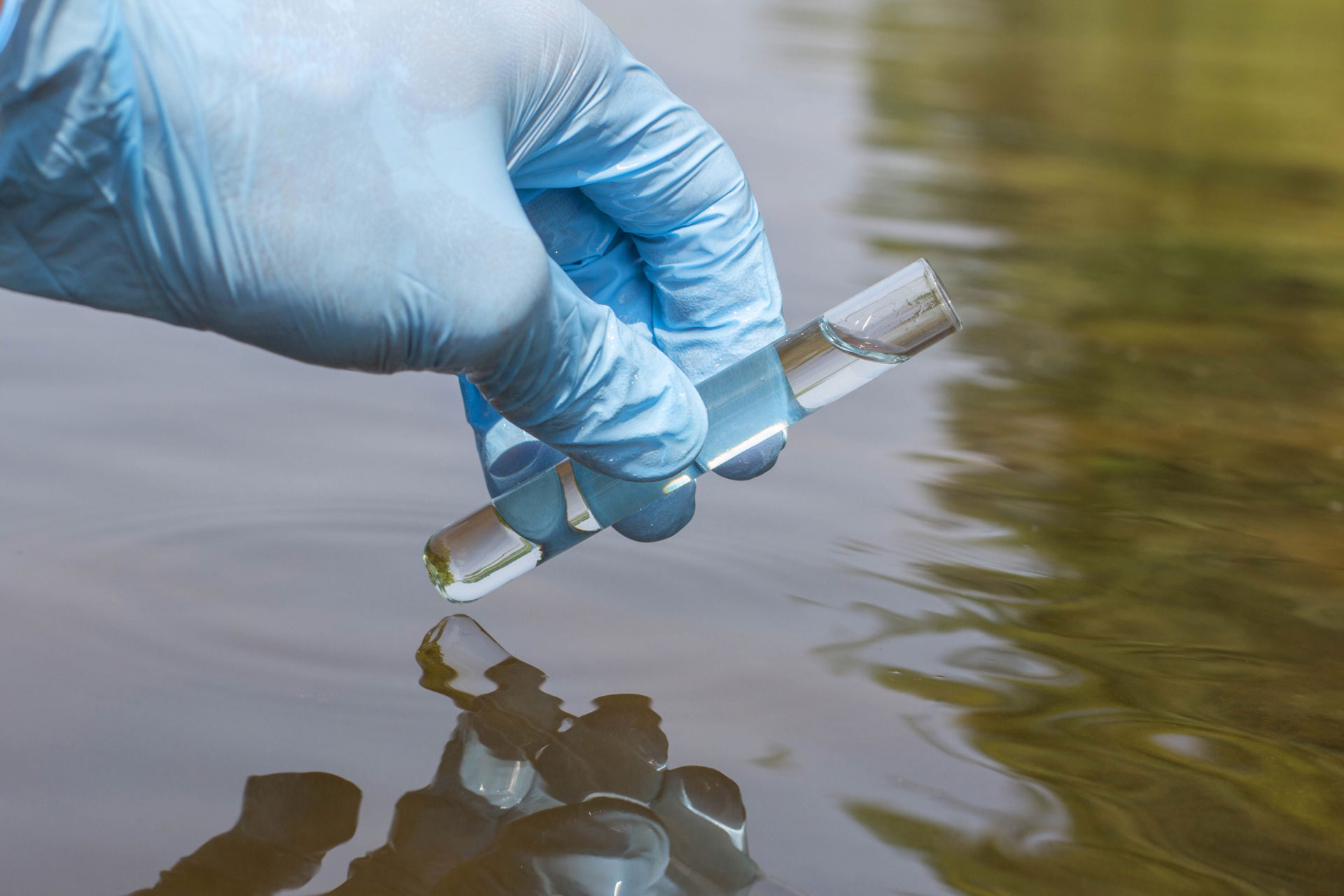 Volunteers collecting water samples